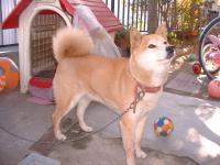 田邊　史行 アイコン