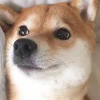 大江　匡行 アイコン